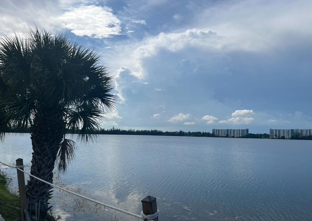 Photo of 114 LAKE EMERALD Drive #401, Oakland Park, FL 33309 (MLS # B26072150)