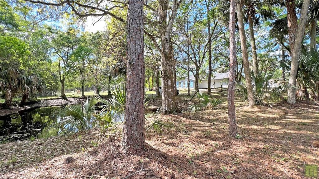 Acreage & Unrec - Residential