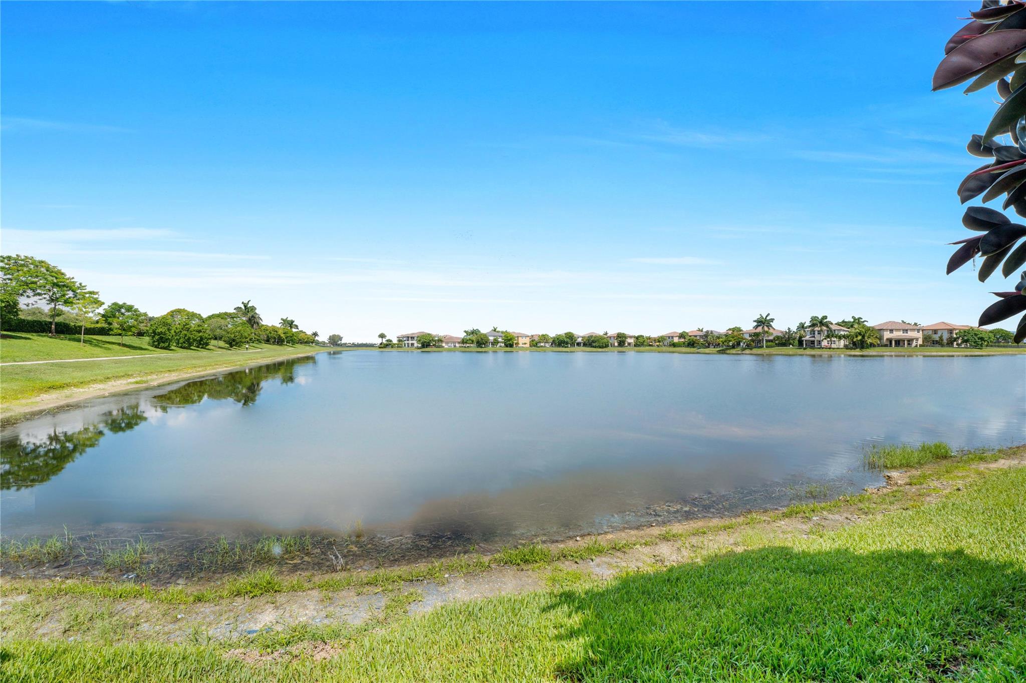 TOWN PARC AT MIRA LAGO - Residential