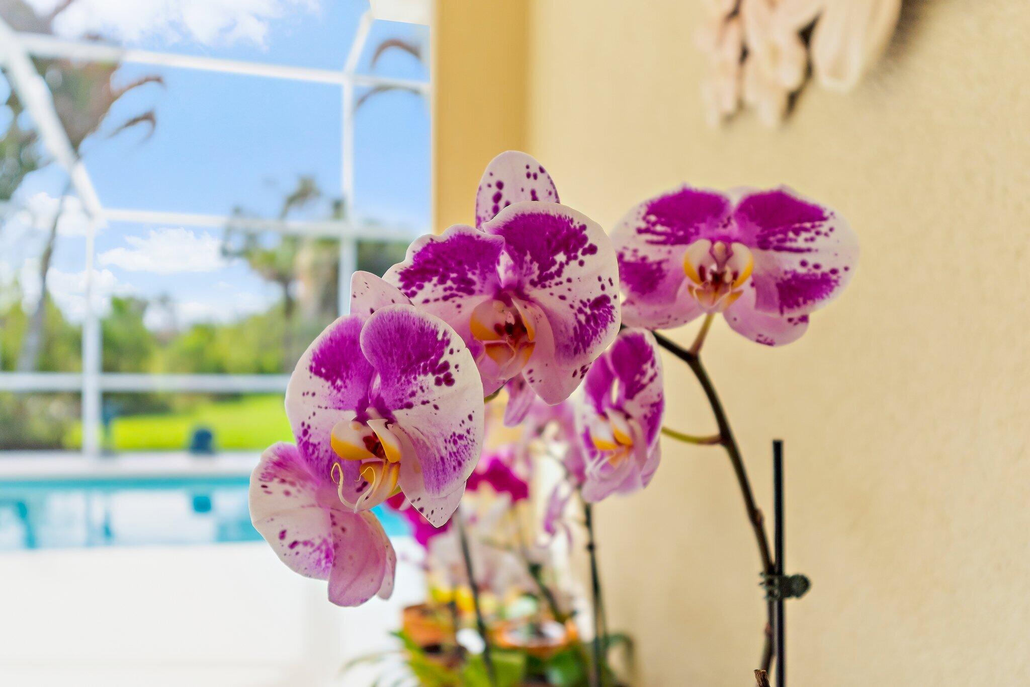 DOUBLE TREE - Residential