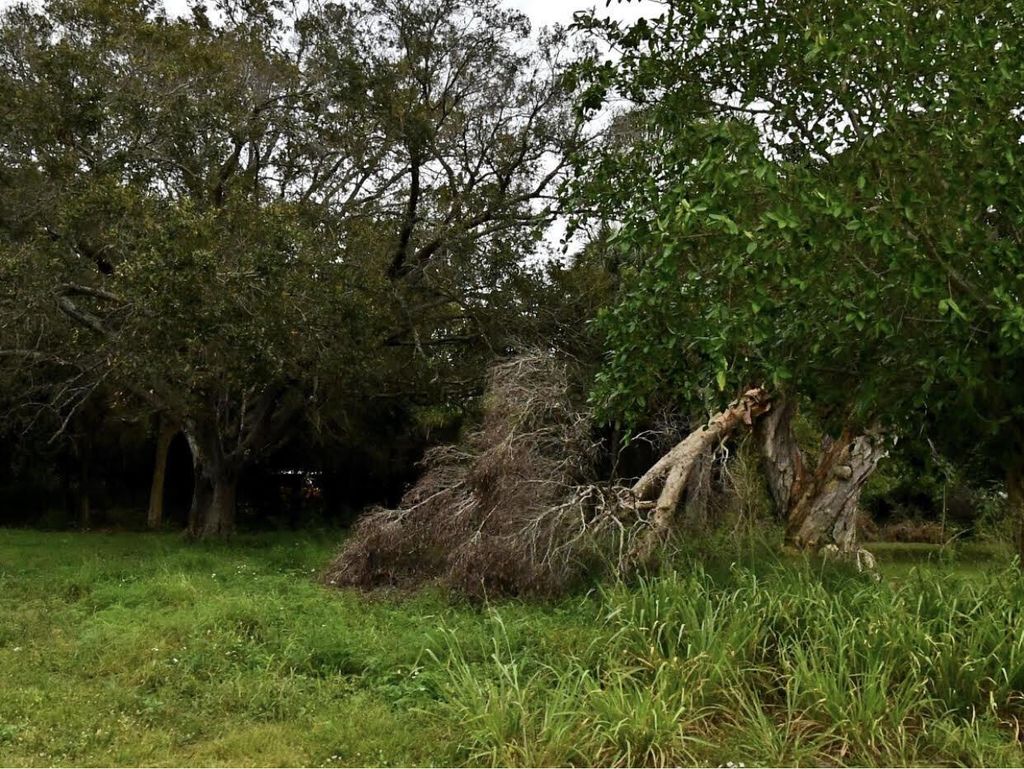 Photo of 0 N 19th Street, Fort Pierce, FL 34950 (MLS # R10889877)