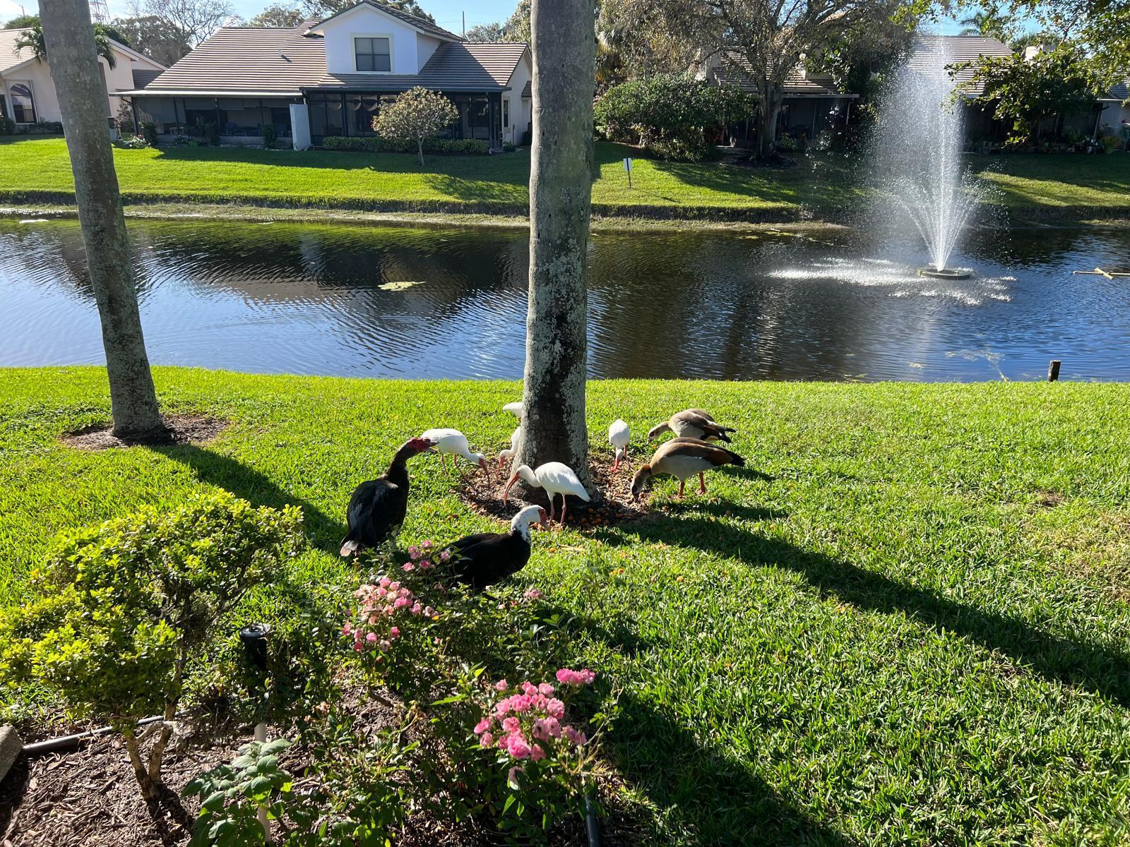 BRIGHTON LAKES - Residential