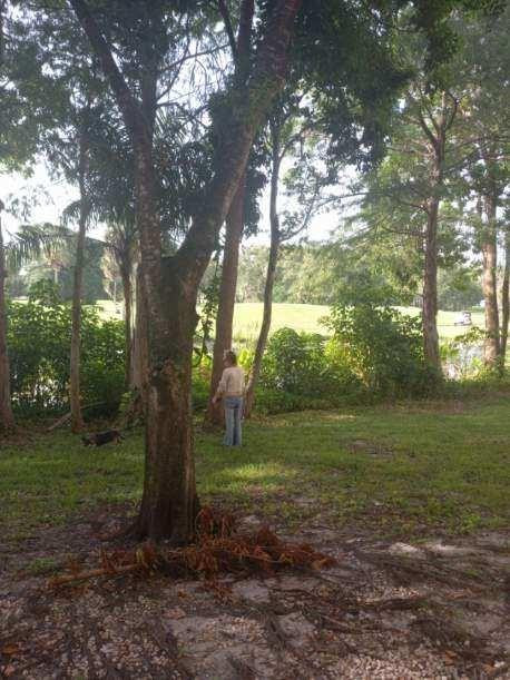 Windward Lakes Condo - Residential Lease