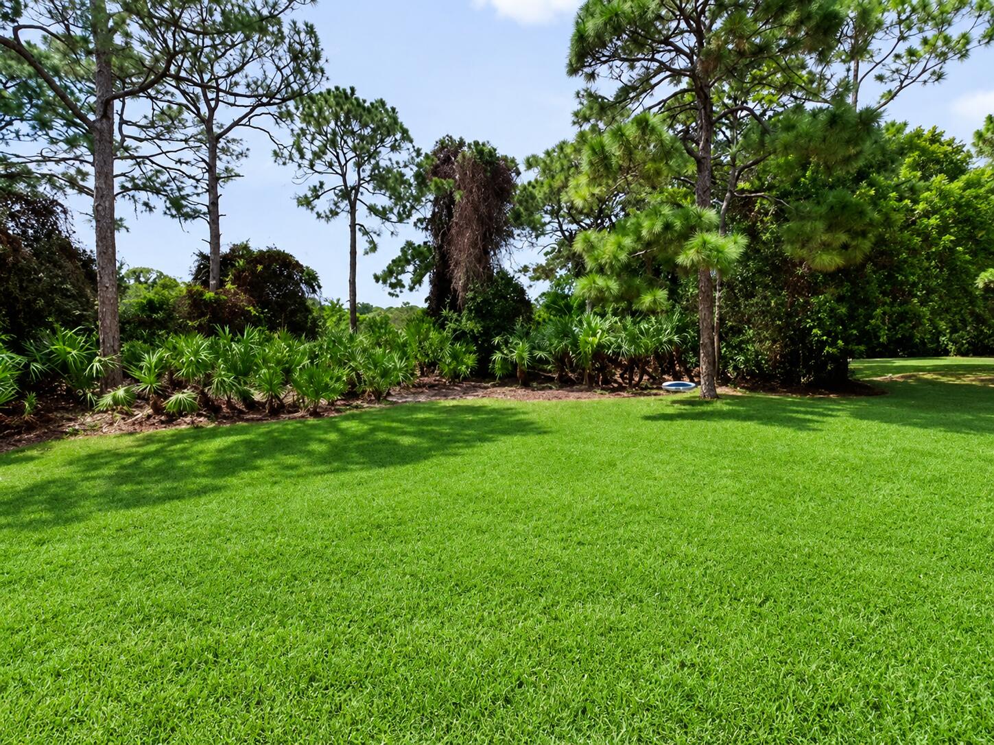 1608 SW CATTAIL Court
