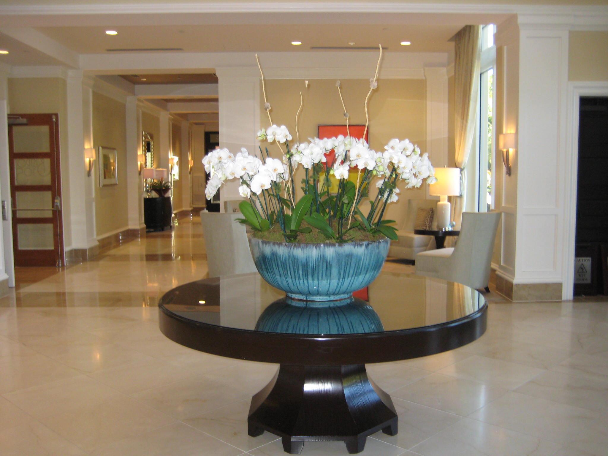 BALLENISLES - SABAL POINT - Residential