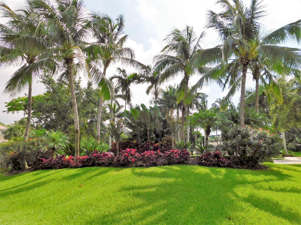 PALMBROOKE TOWNHOMES - Residential