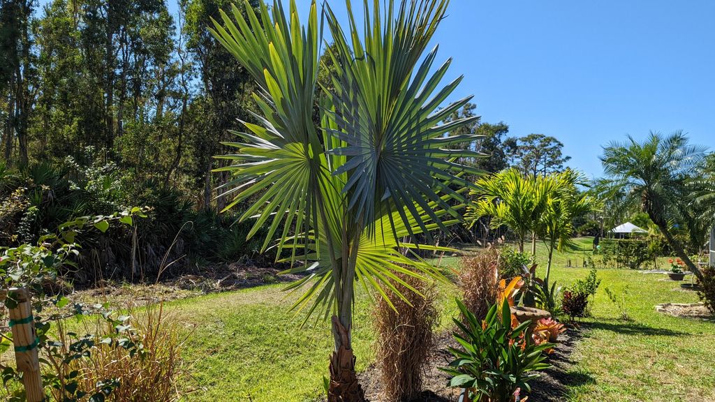 Photo of 23238 Marsh Landing Boulevard, Estero, FL 33928 (MLS # B26014394)