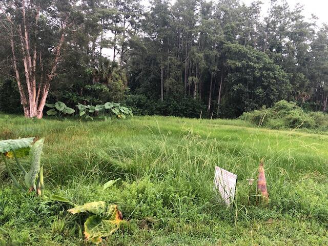 Heritage Farms - Land