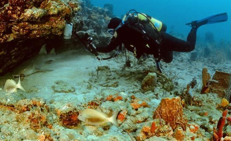 HYPOLUXO VILLAGE 1 - Residential