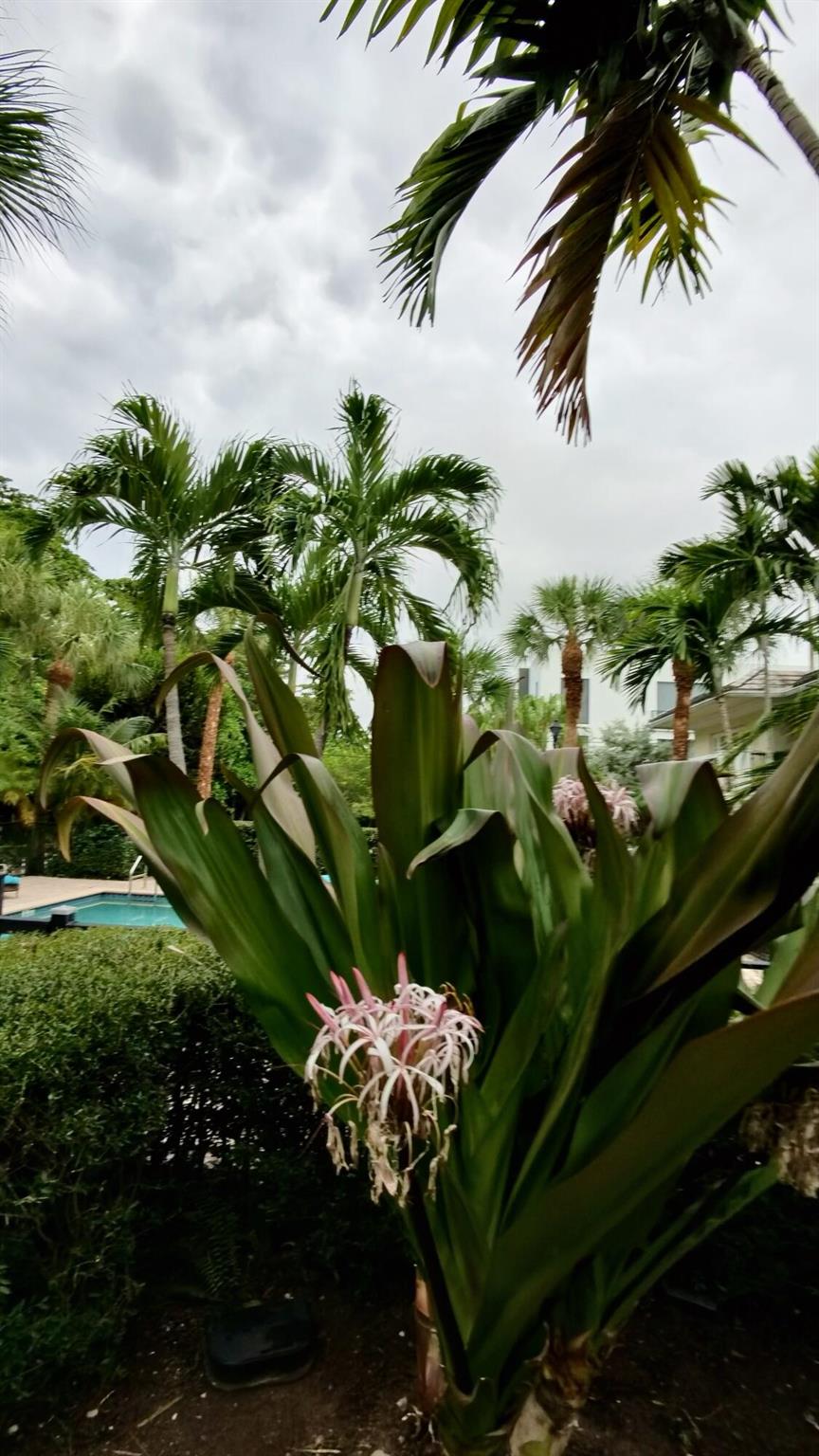 KENMONT IN - Residential Lease