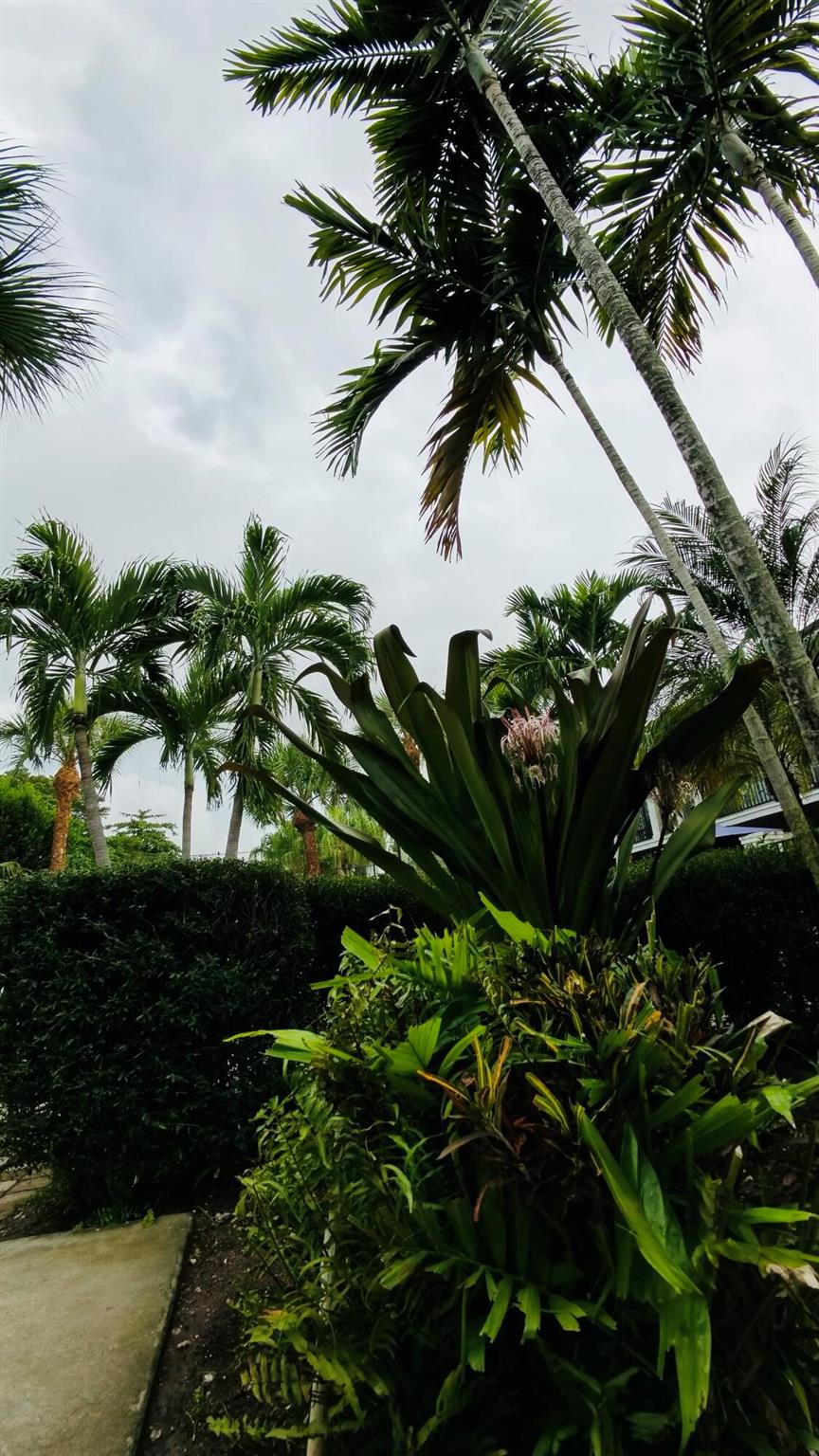 KENMONT IN - Residential Lease