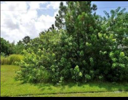 Photo of 2438 SW Datura Avenue, Port Saint Lucie, FL 34953 (MLS # R10724332)
