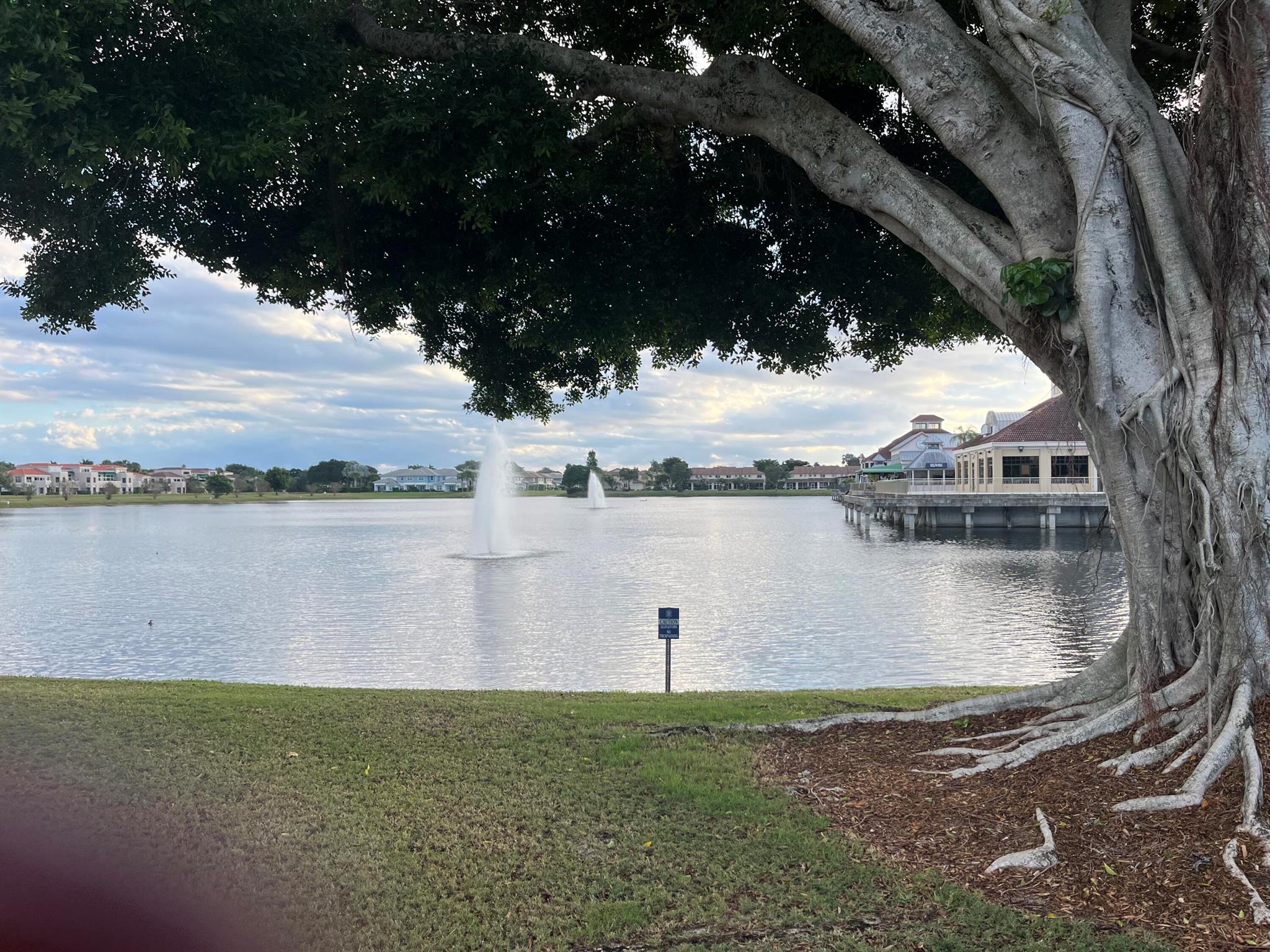 PLUM AT BOCA POINTE - Residential