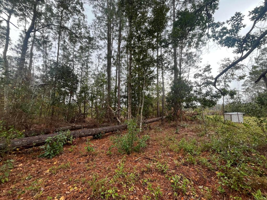 INTERLACHEN LAKES ESTATES - Land