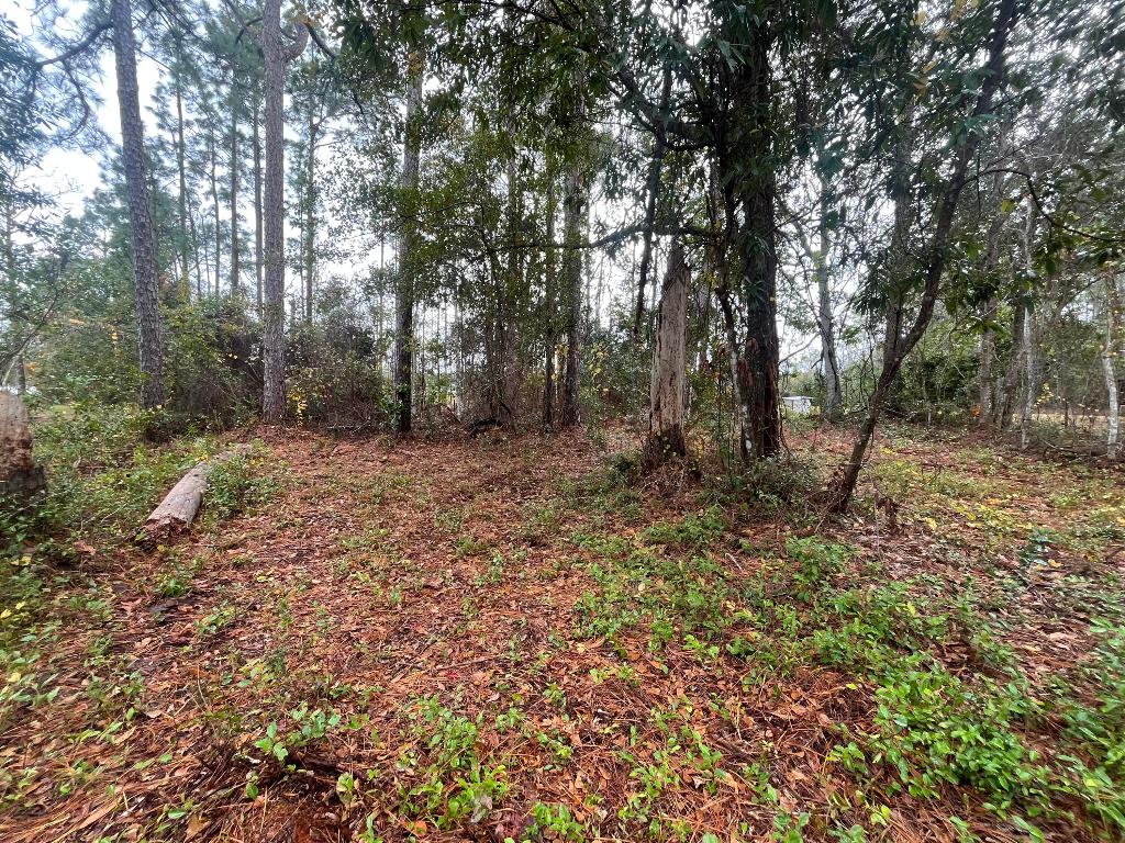 INTERLACHEN LAKES ESTATES - Land