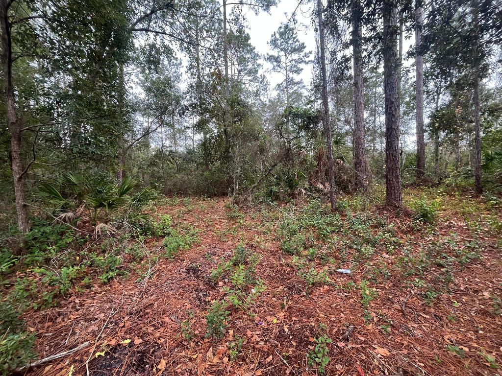 INTERLACHEN LAKES ESTATES - Land