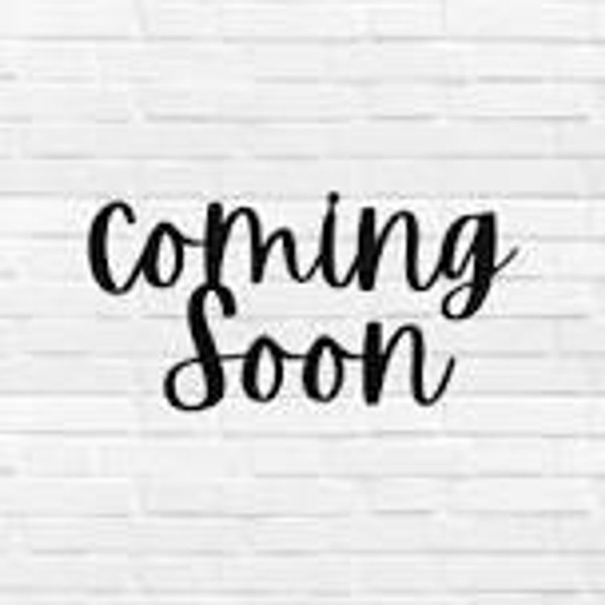 Magnificently renovated 3 bedroom, 2 full bath, 2nd floor condo in sought after Bay Port community. This Atrium home features light and bright open floor plan, Quartz eat in kitchen w/white shaker cabinets, crystal lighting for that added elegance. Appliances only 2 yrs. old. Lg. primary suite with custom wall to wall closet plus a walk in closet. French doors to den/office/bedroom. Full glass wall w/sliding doors out to Large screened in balcony to enjoy early morning coffee. Well maintained building with elevator.  HOA includes all listed plus INTERNET. Clubhouse features pool, fitness, also access to Township which offers tennis, pickle ball, olympic size pool. Prime location near Promenade shops, restaurants and more.  All ages welcomed. Come make this beautiful space your home!