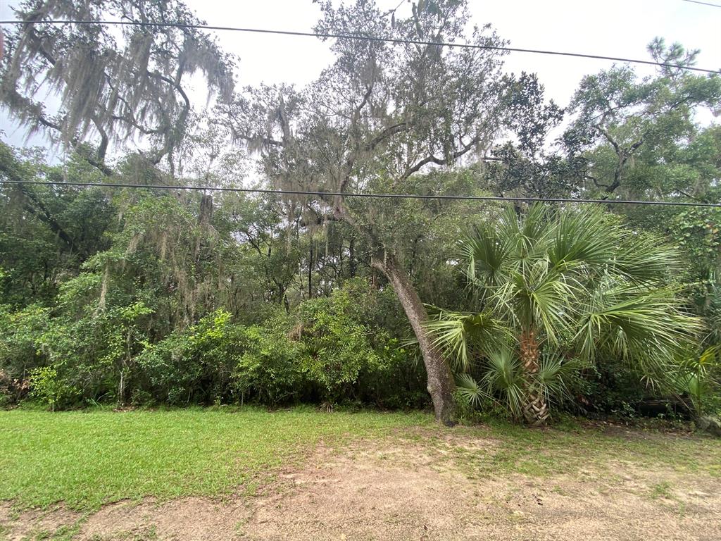 Buy and build your new home or just or just hold for the future this 0.38 of an acre 85ftx180ft property that sits in a very quiet area with absolute privacy. with a few neighbors and power poles on this block However, you are just a quick one minute drive from E Turner Camp Rd where you can get into town very quickly. Where you will find shopping, restaurants, medical centers