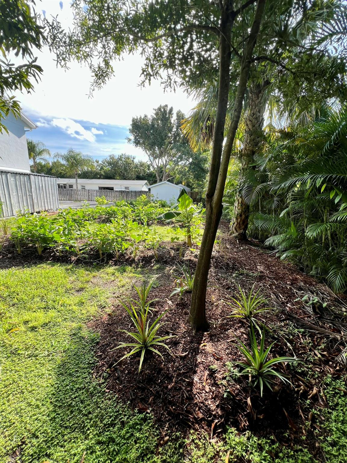 PALM CITY AMENDED - Residential Lease