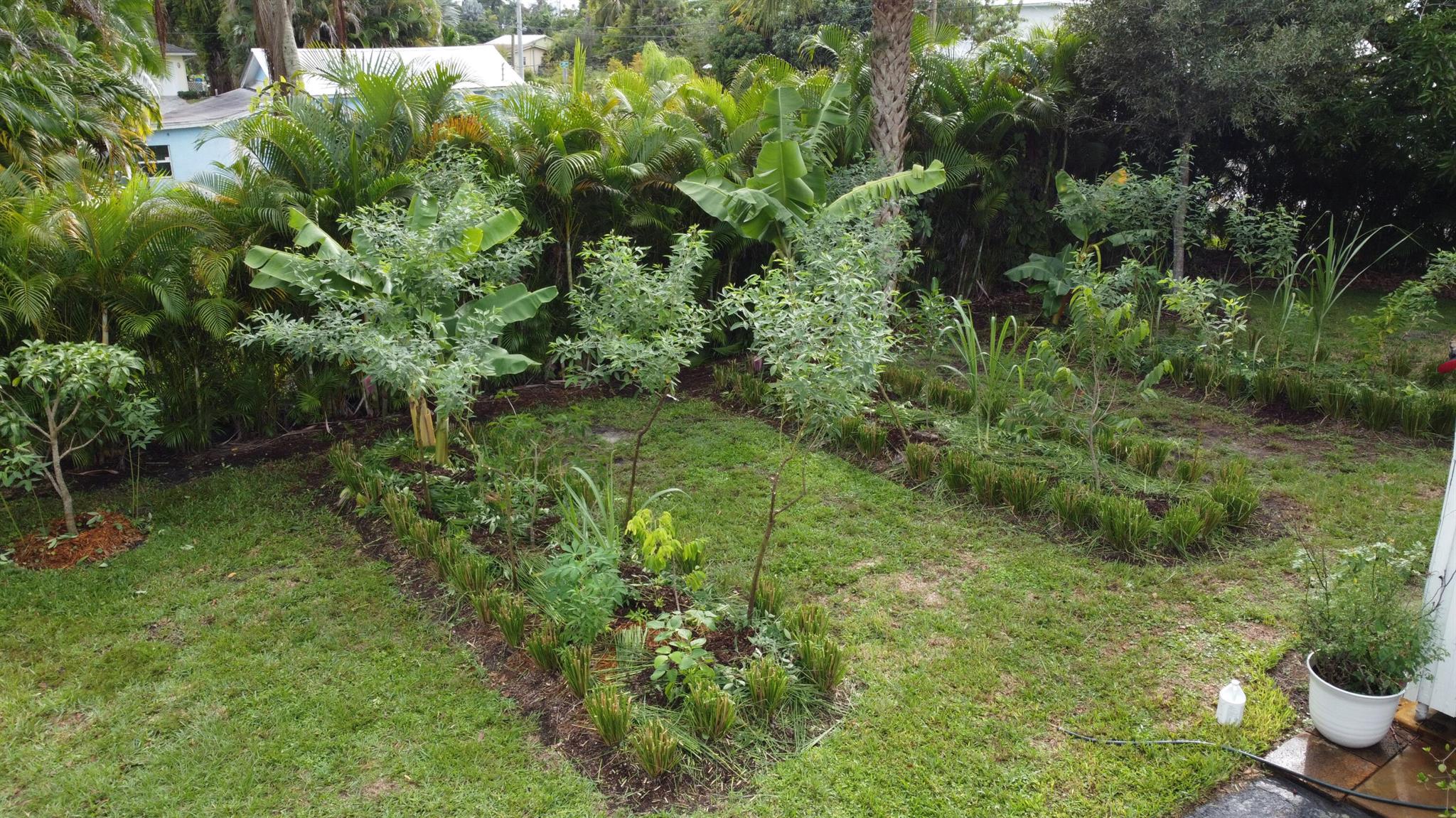 PALM CITY AMENDED - Residential Lease