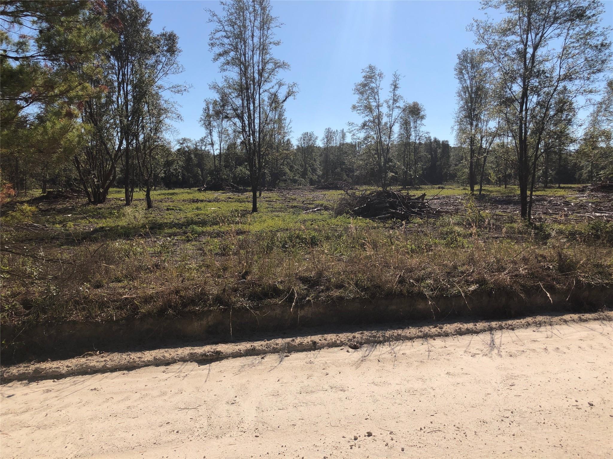 Chiefland Woods - Land