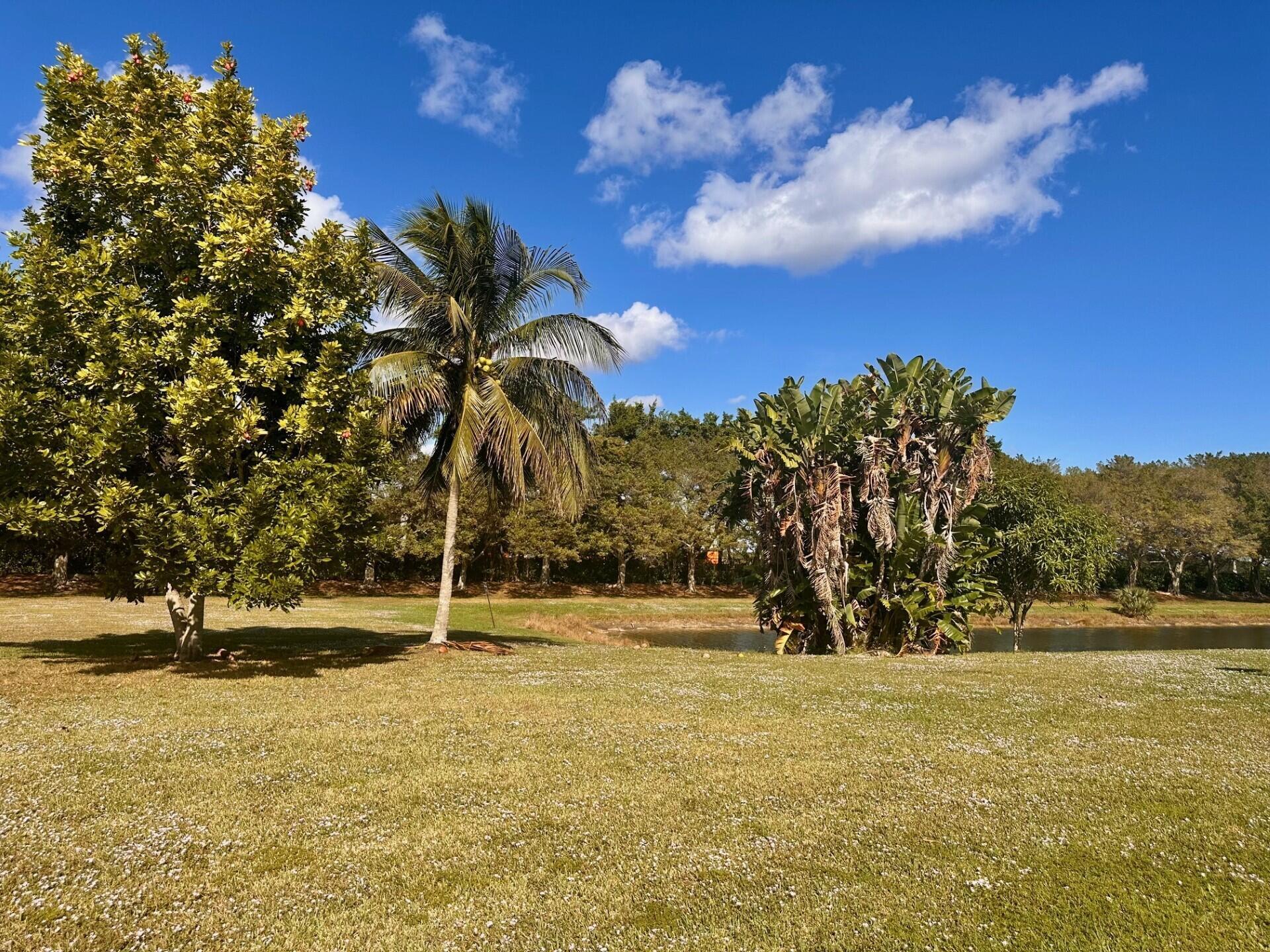 ORANGE POINT TR A - Residential Lease