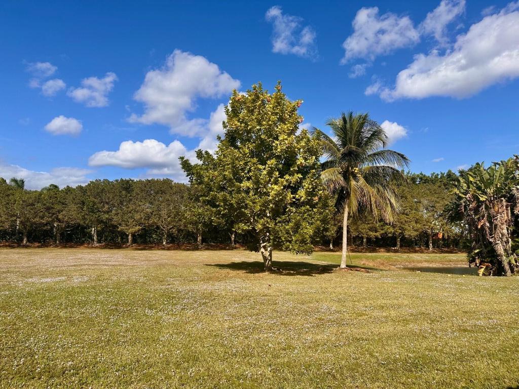 ORANGE POINT TR A - Residential Lease