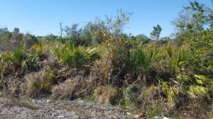 Perfect Vacant lot ready to Build your Future Home. Close to City and Highway.