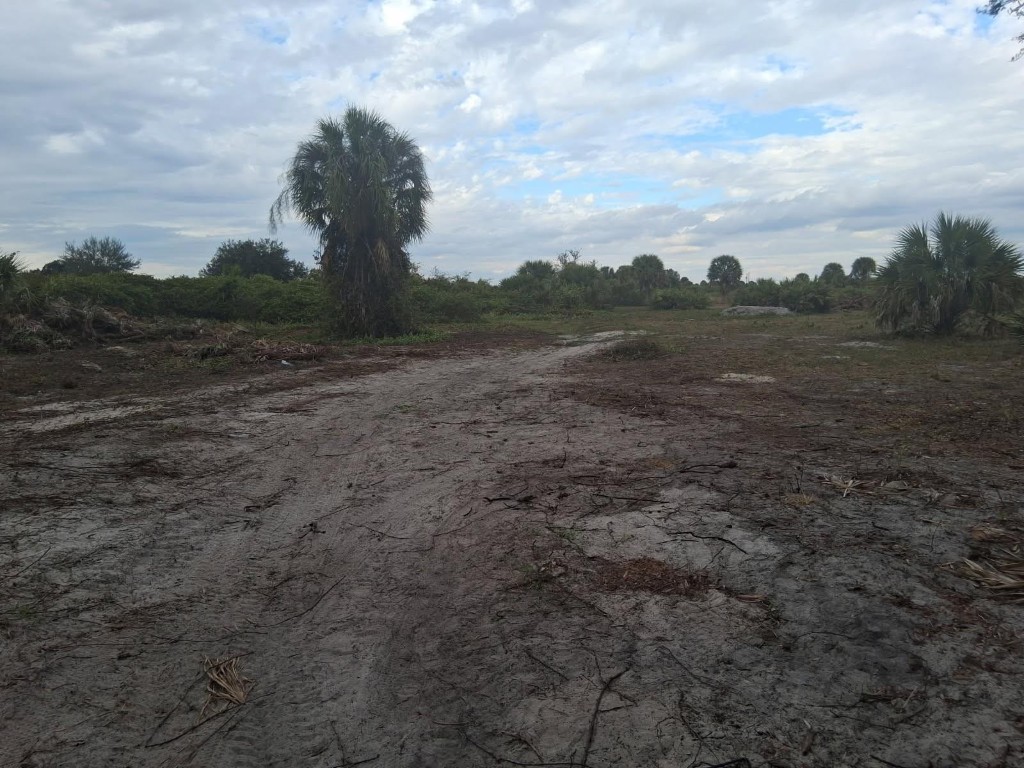 Southern Colonization - Land