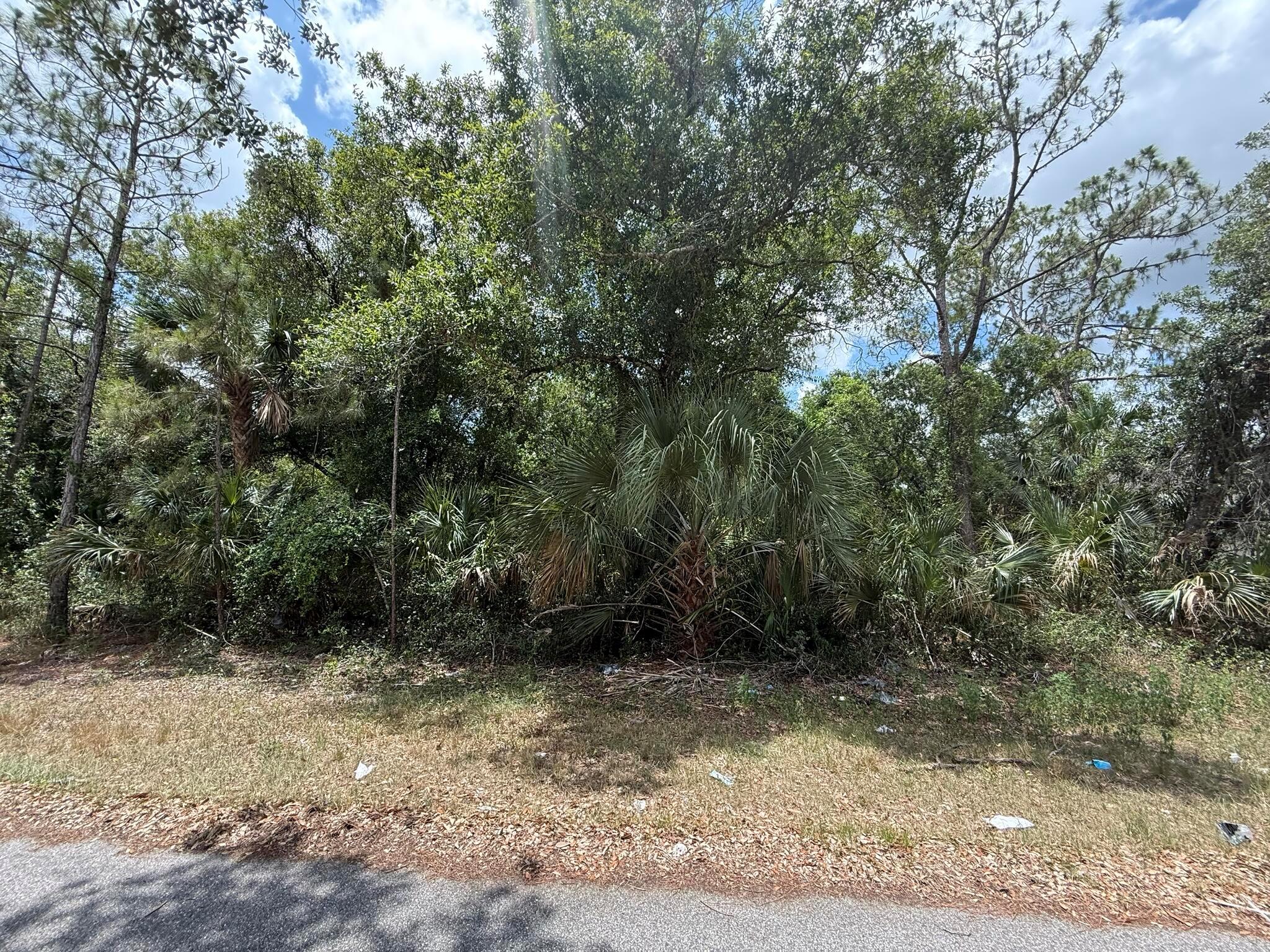 Tbd Scanlon Avenue