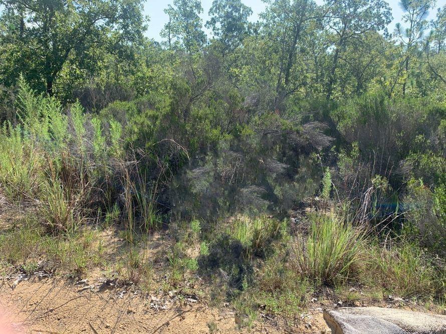 Contact us today to explore this exceptional opportunity and take the first step toward realizing your vision of the perfect property in Interlachen, Florida! The lot next door is also available.
Owner Financing Available with only $1,500 down