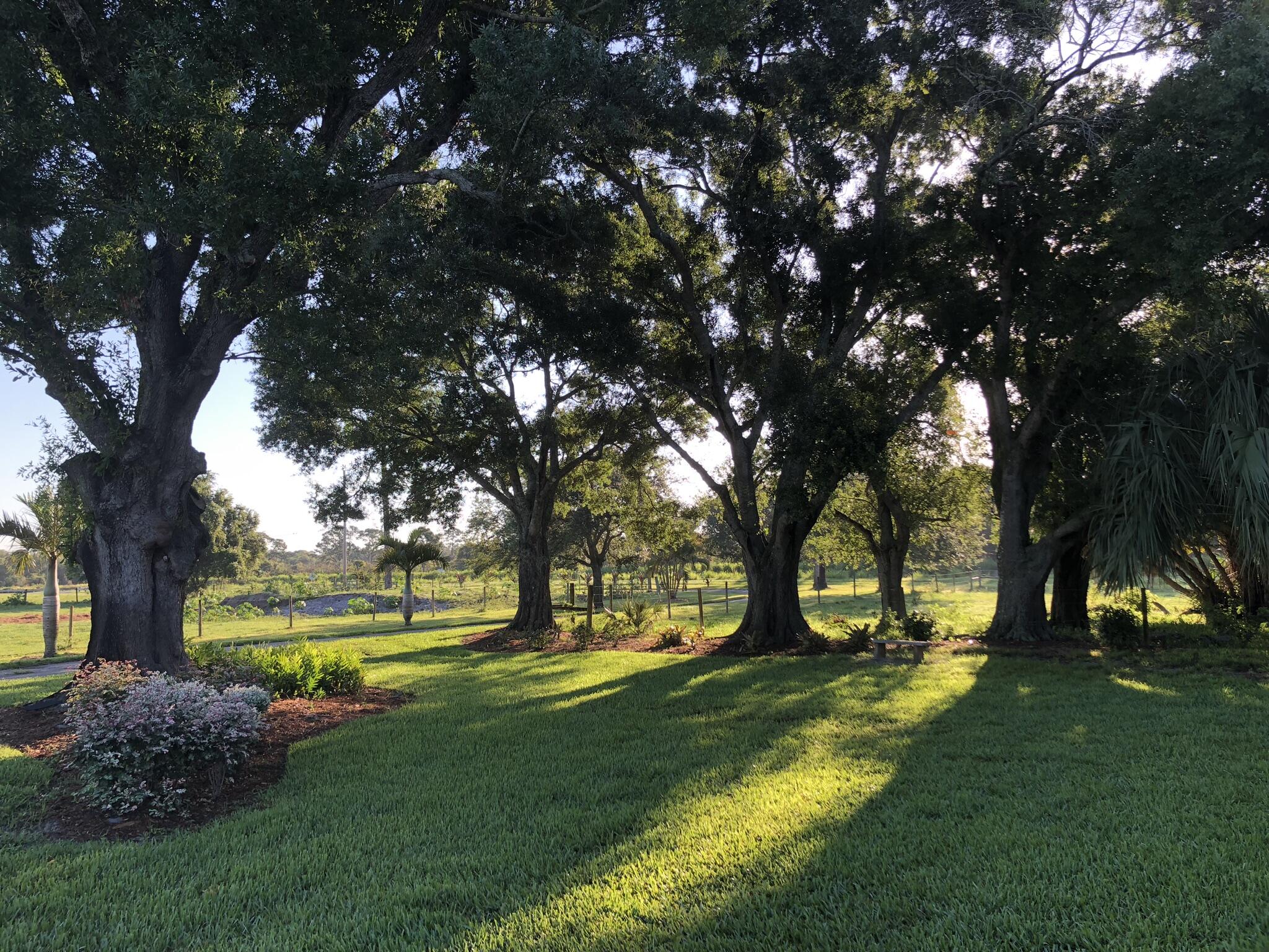 METES AND BOUNDS - Land