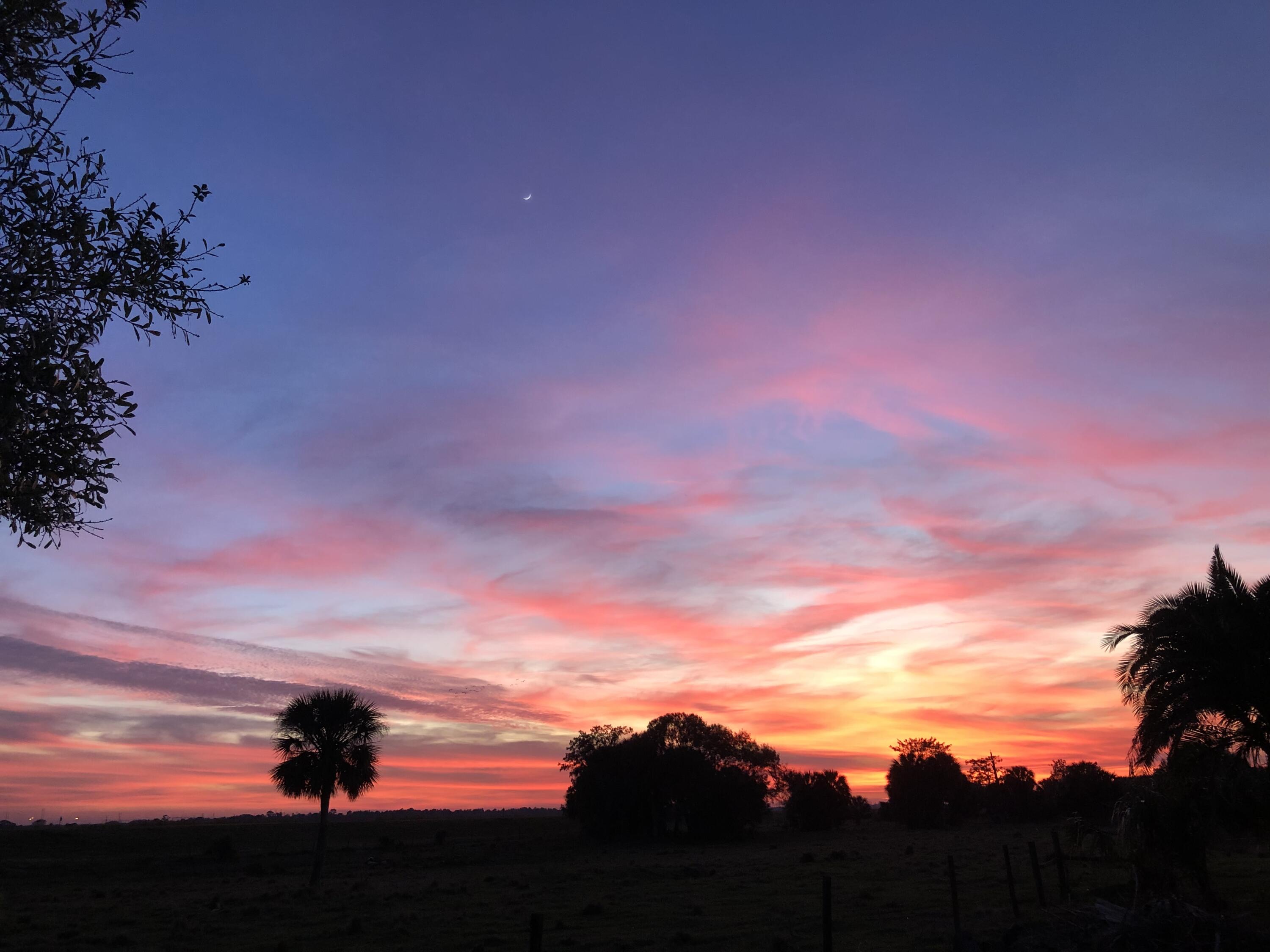 METES AND BOUNDS - Land