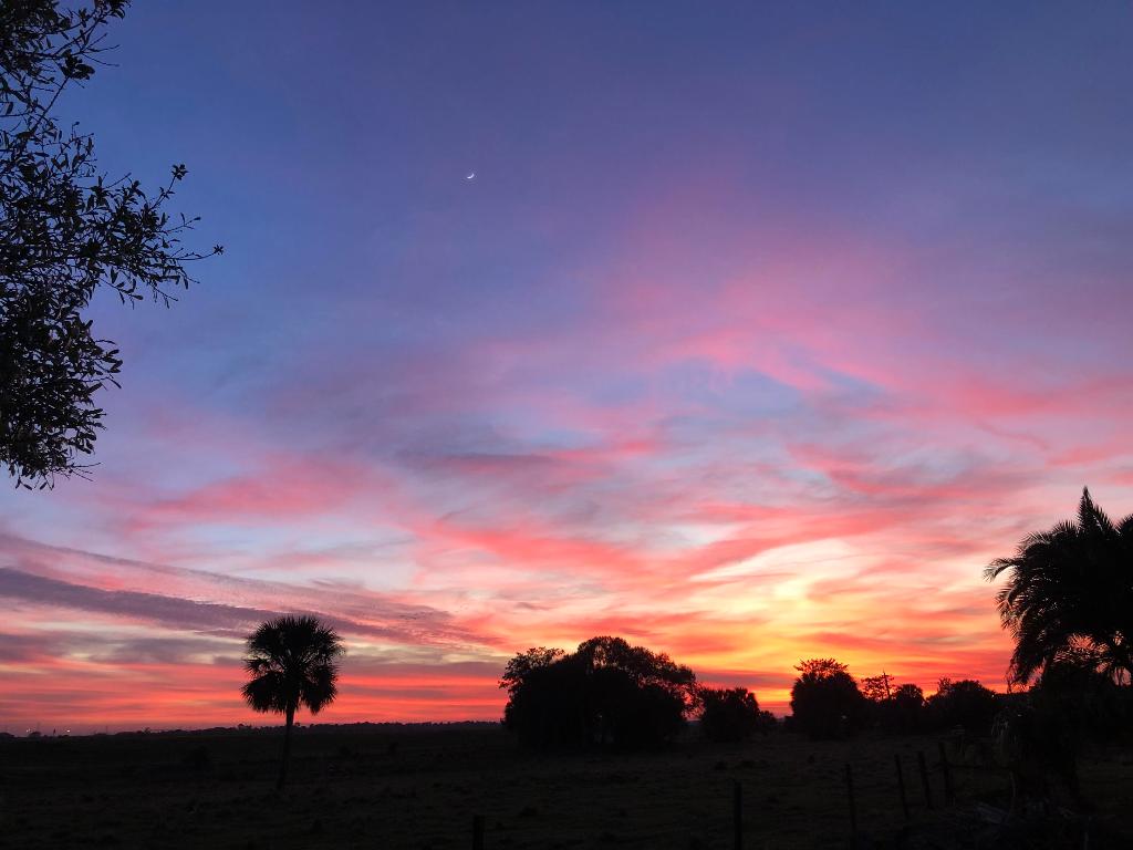 METES AND BOUNDS - Land