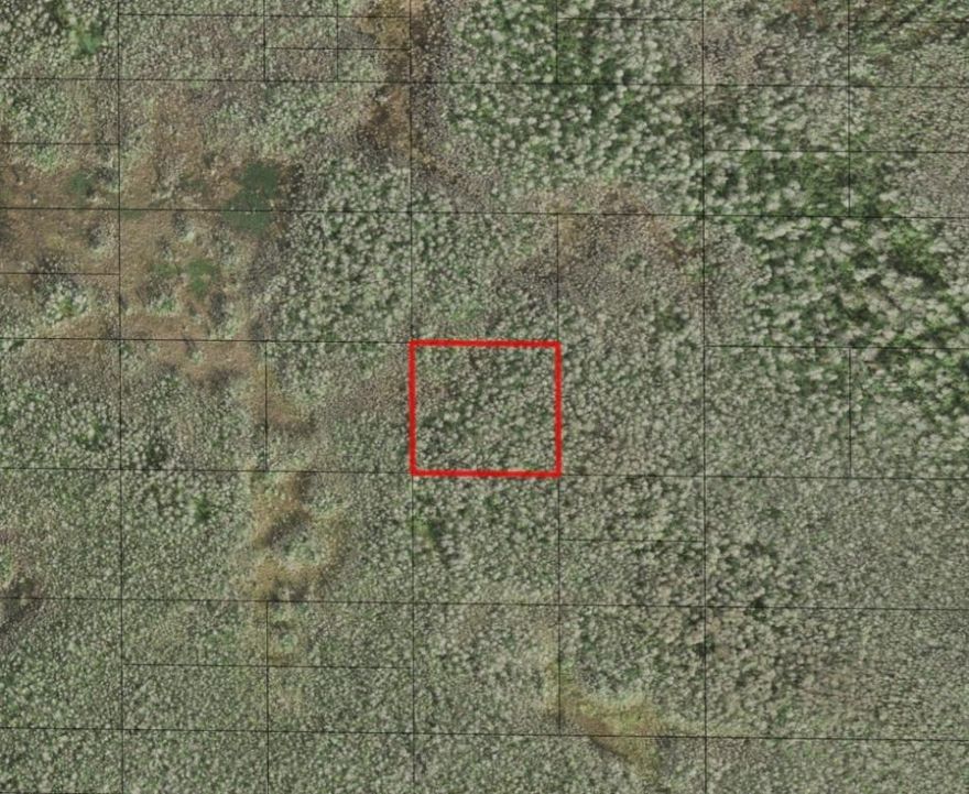 Holopaw offers vast, open spaces and abundant trails perfect for four-wheeler enthusiasts, making it a haven for off-road adventures. The area’s rich wildlife and serene natural environment provide excellent hunting opportunities for outdoor enthusiasts. Owning property in Holopaw ensures easy access to these activities, creating a personal retreat in the heart of Florida’s wilderness.