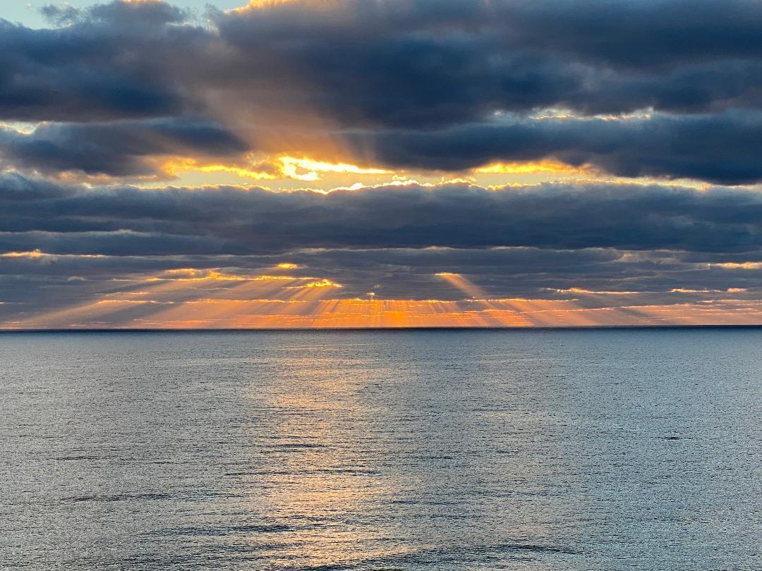 AMBASSADORS - Residential Lease