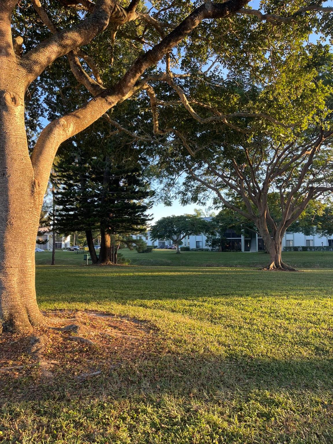 PALM CLUB WEST VILLAGE 1 - Residential