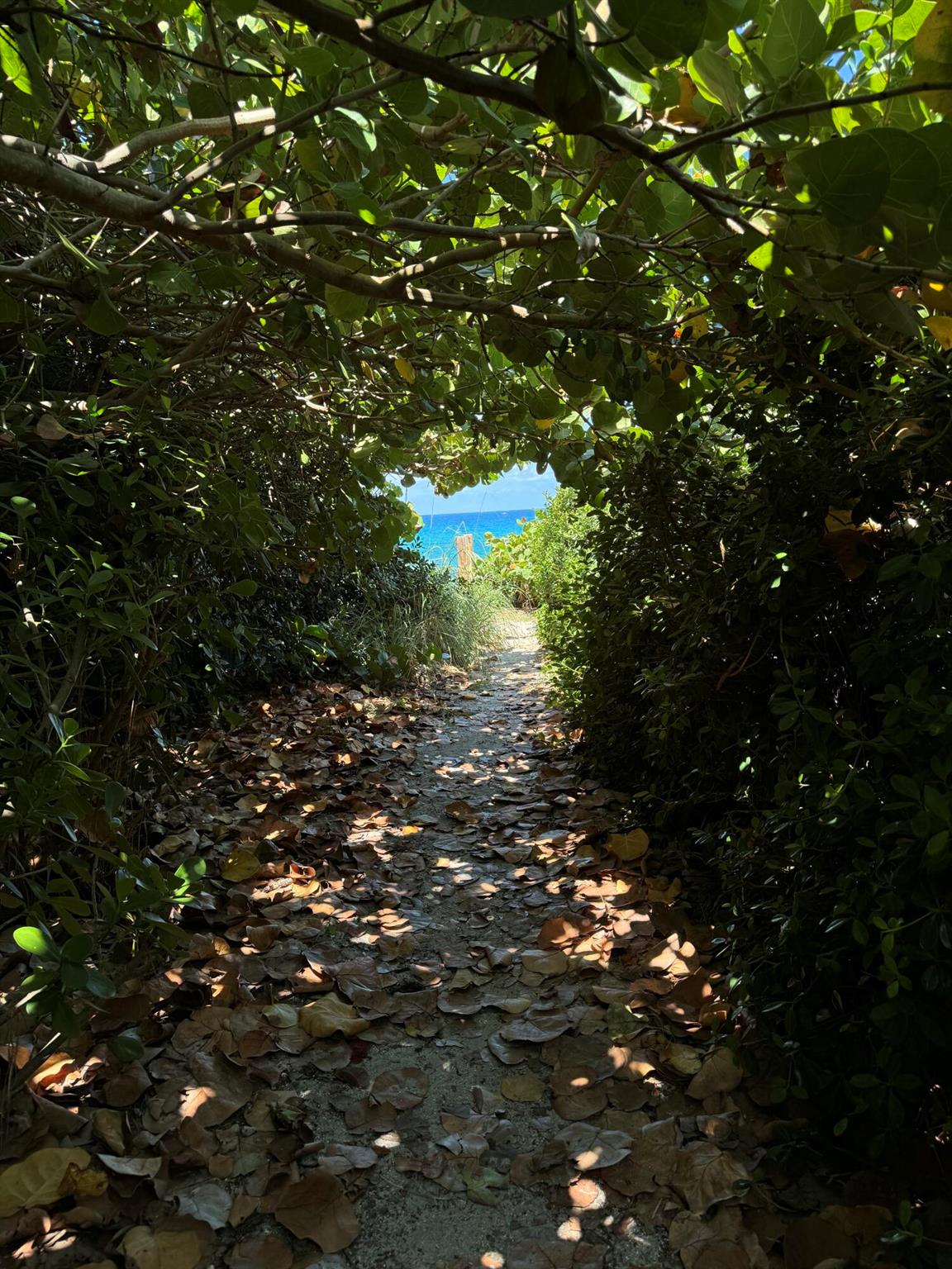 COASTAL SHORES WEST - Residential Lease