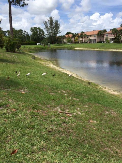 SEMINOLE PALMS - Residential Lease