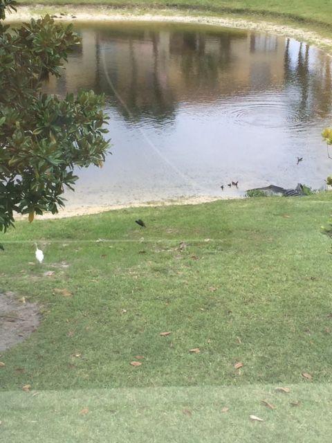 SEMINOLE PALMS - Residential Lease