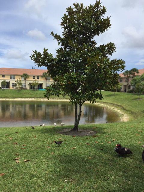 SEMINOLE PALMS - Residential Lease