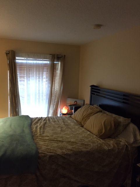 SEMINOLE PALMS - Residential Lease