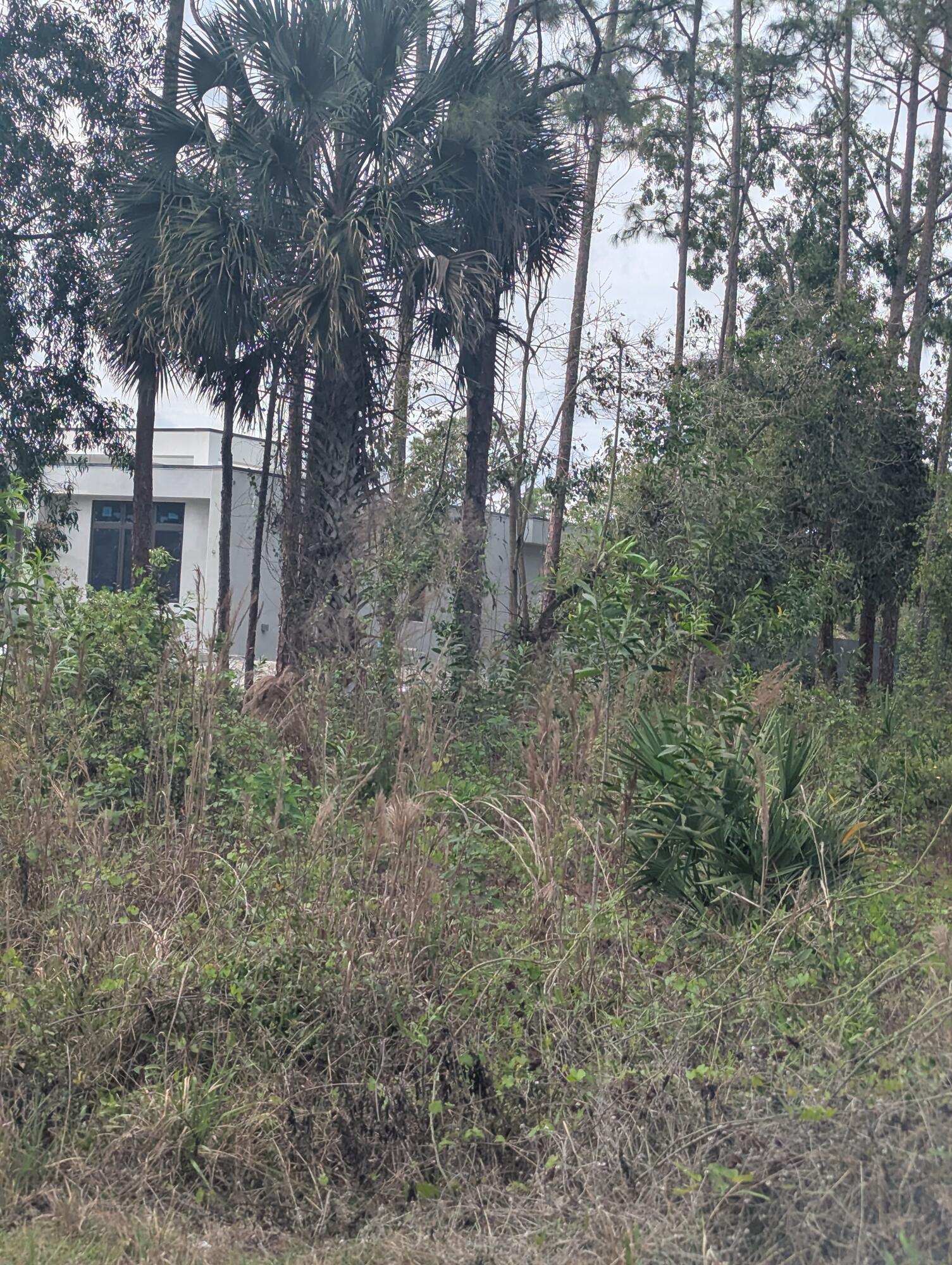 Acreage & Unrec - Land