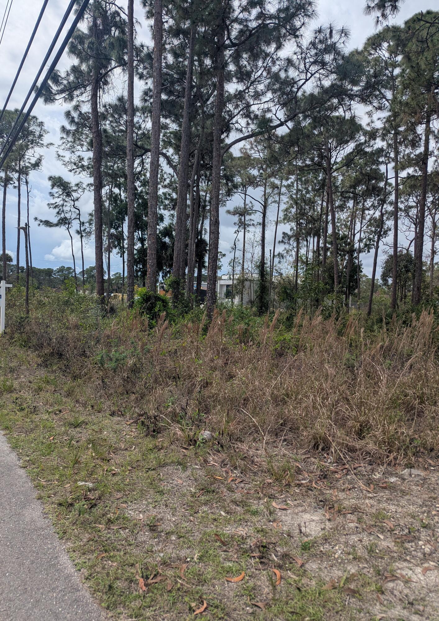 Acreage & Unrec - Land