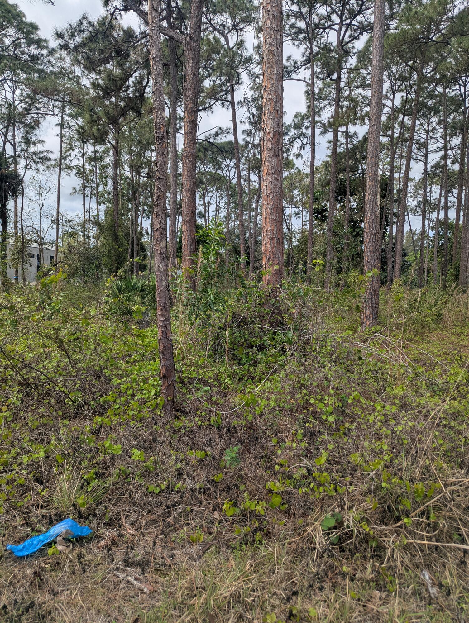 Acreage & Unrec - Land