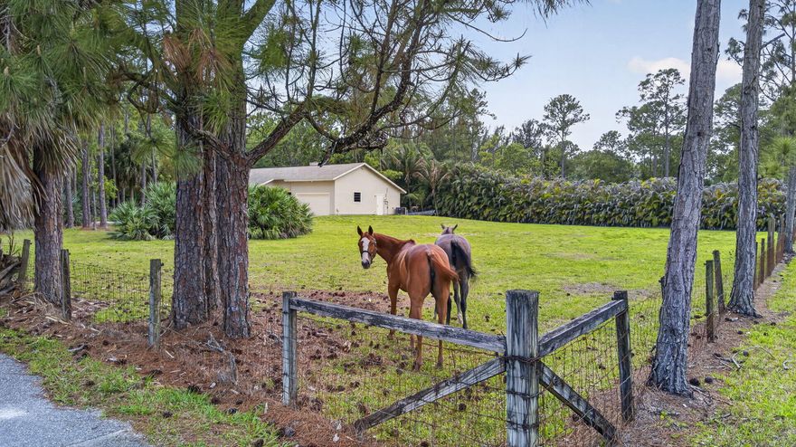 FANTASTIC EQUESTRIAN OPPORTUNITY ON 2.6 ACRES IN LOXAHATCHEE. This rare corner property features a 3BR/2.5BA home with a 2-stall barn, shaded paddocks, and room to add paddocks, run-ins and a riding arena. Ideal layout with easy barn-to-paddock flow and a second entrance for trailer access. Elevated lot offers excellent drainage and is not in a flood zone. Zoned AG-Residential with no HOA or restrictions on trucks, trailers, and boats. Located across from a preserve and canal for privacy and trail riding.  Cantral location just minutes to Northlake Blvd, Seminole Pratt and ~30 mins to West Palm Beach & beaches. Close to Wellington equestrian venues, Westlake shopping, dining, and hospital while maintaining a true farm lifestyle.