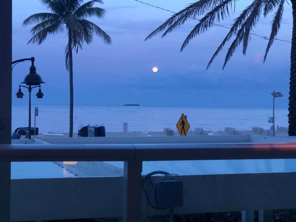 Photo of 3349 South Street, Hollywood, FL 33021 (MLS # B26078775)