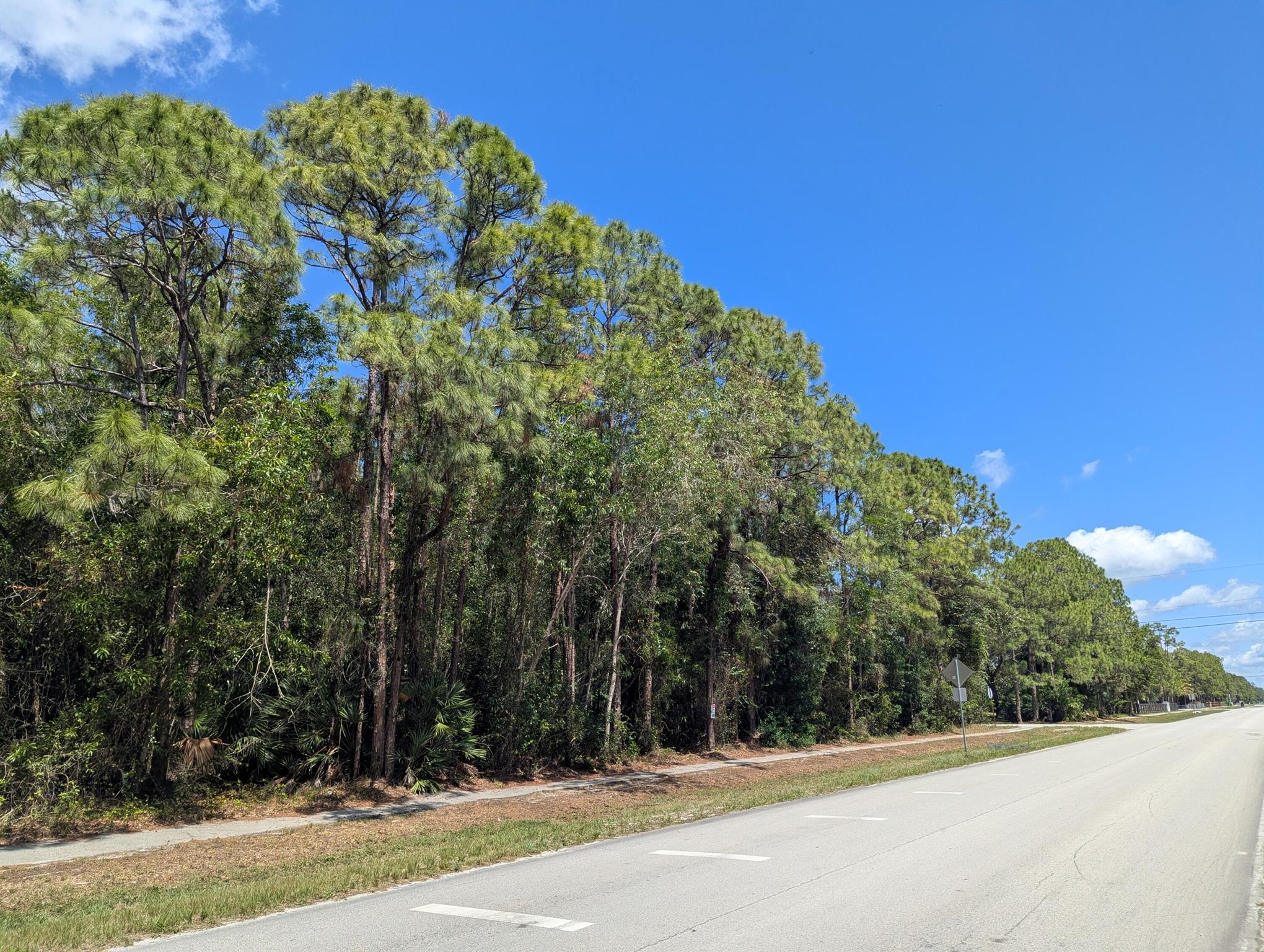 Realtors, show and sell with confidence. Seller has been verified as the real owner. Incredible home site on paved Mandarin Blvd. , High and Dry and loaded with tall pine trees. Canal on the northern boundary. Lot to the north J-237 is also for sale. Don't miss this beauty. It will not last long.