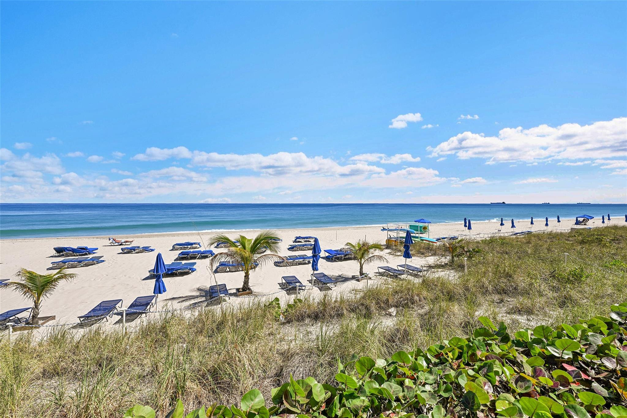 Royal Ambassador - Residential