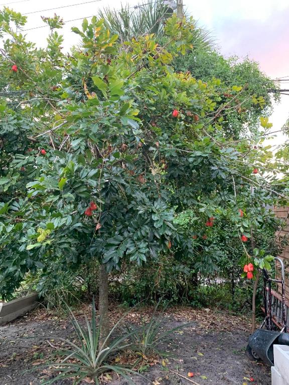 ACREHOME PARK SECOND ADD - Residential Lease